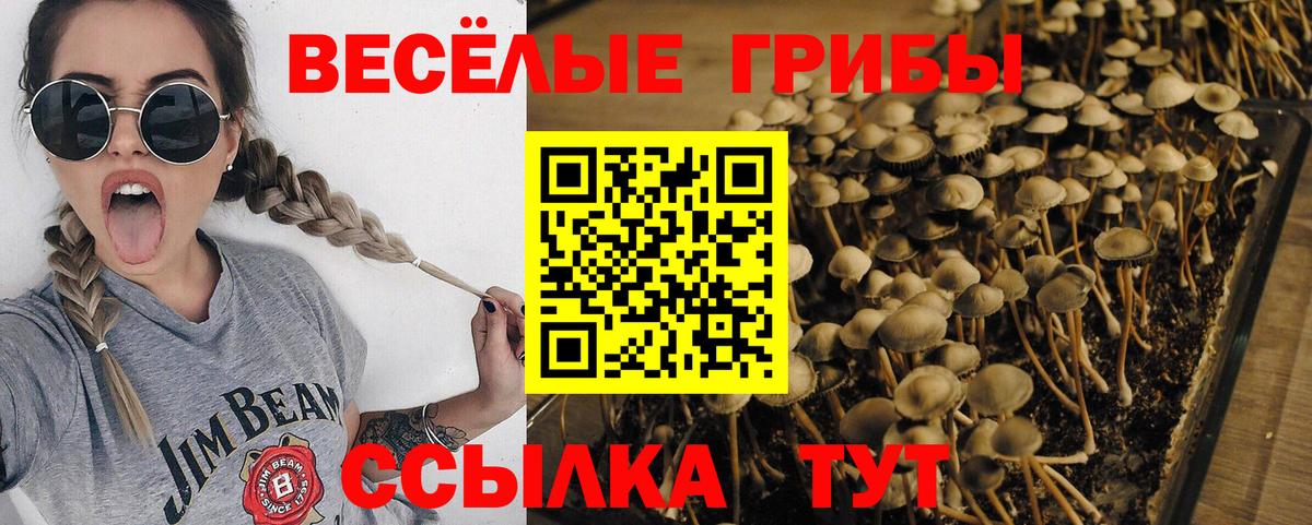 Галлюциногенные грибы ЛСД  Галлюциногенные грибы MAGIC MUSHROOMS  Мичуринск  Вход с VPN 