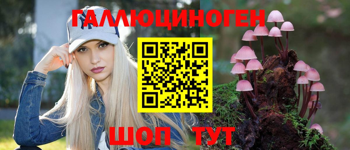 Псилоцибиновые грибы GOLDEN TEACHER Мичуринск